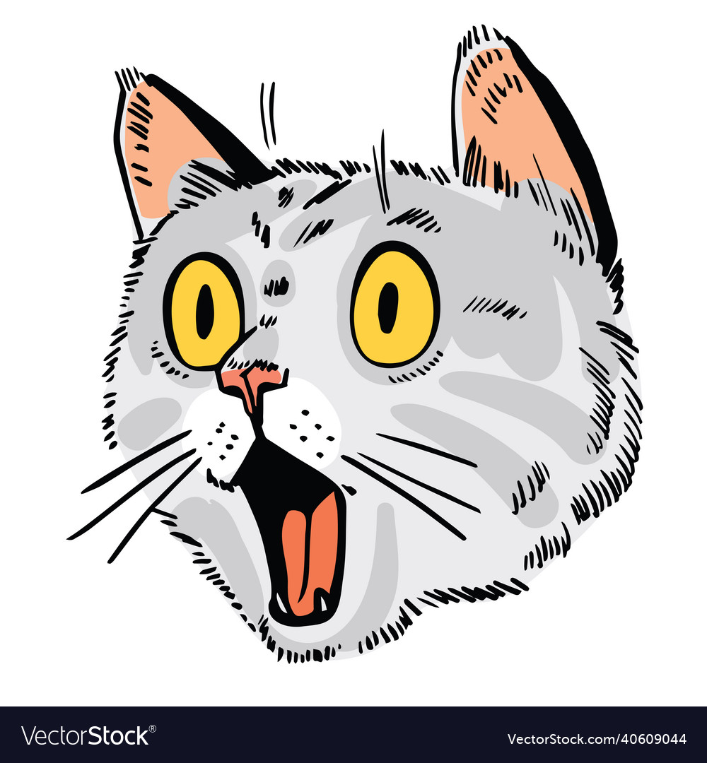 Face of surprised cat portrait drawing