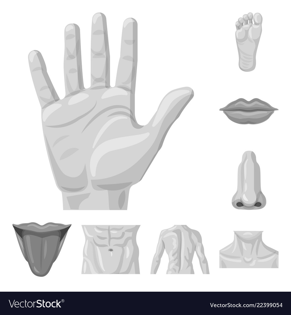 Design of human and part logo collection vector image Design of human and part logo collection