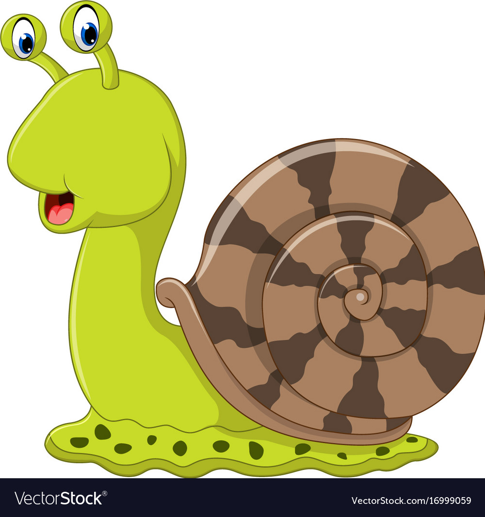 Cute snail cartoon Royalty Free Vector Image - VectorStock