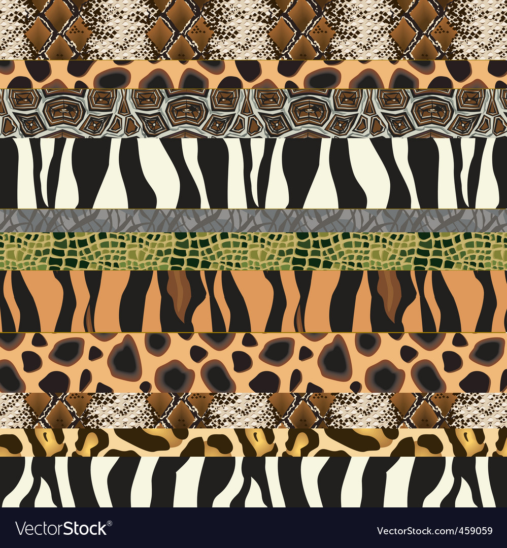 Zebra Print Background