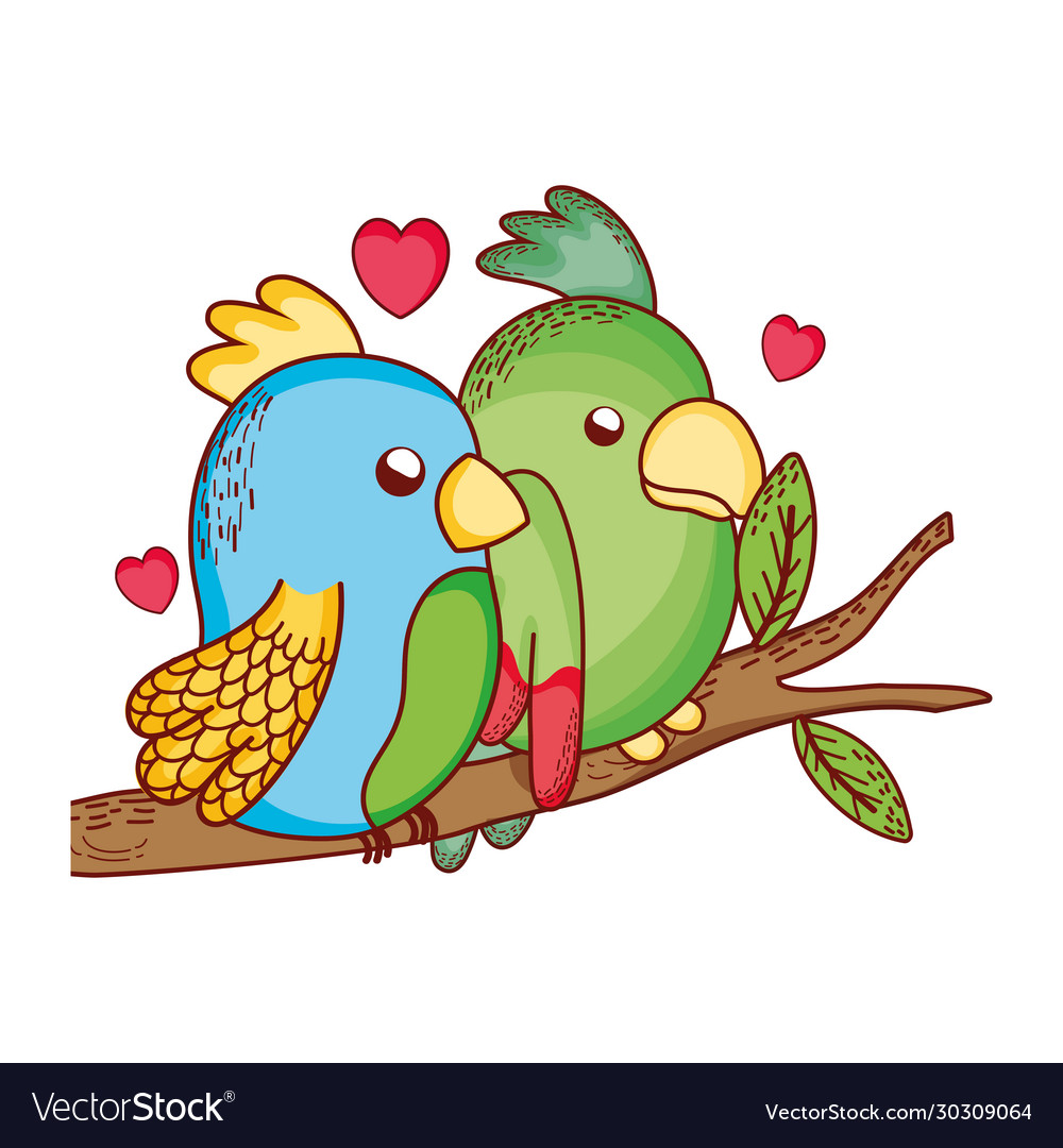 Cute animals couple parrots in branch tree love Vector Image Cute animals couple parrots in branch tree love Vector Image