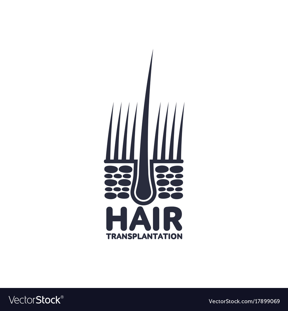 Hair Follicle In Hair Bulb Icon Royalty Free Vector Image
