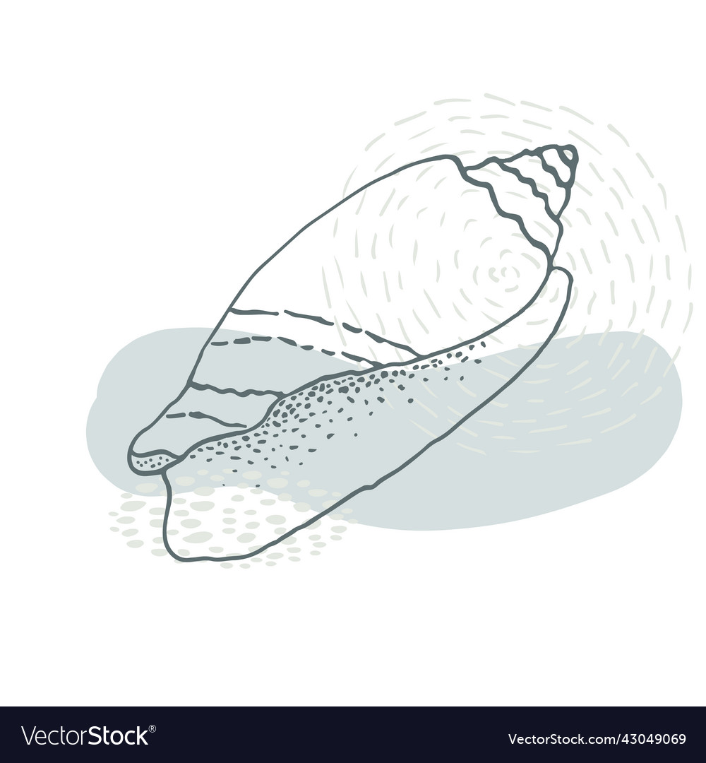 Hand-drawn seashell spiral with a texture of many