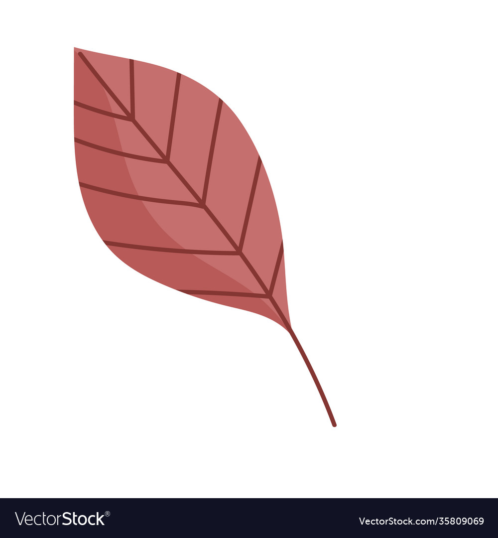 Leaf flora nature foliage cartoon icon isolated