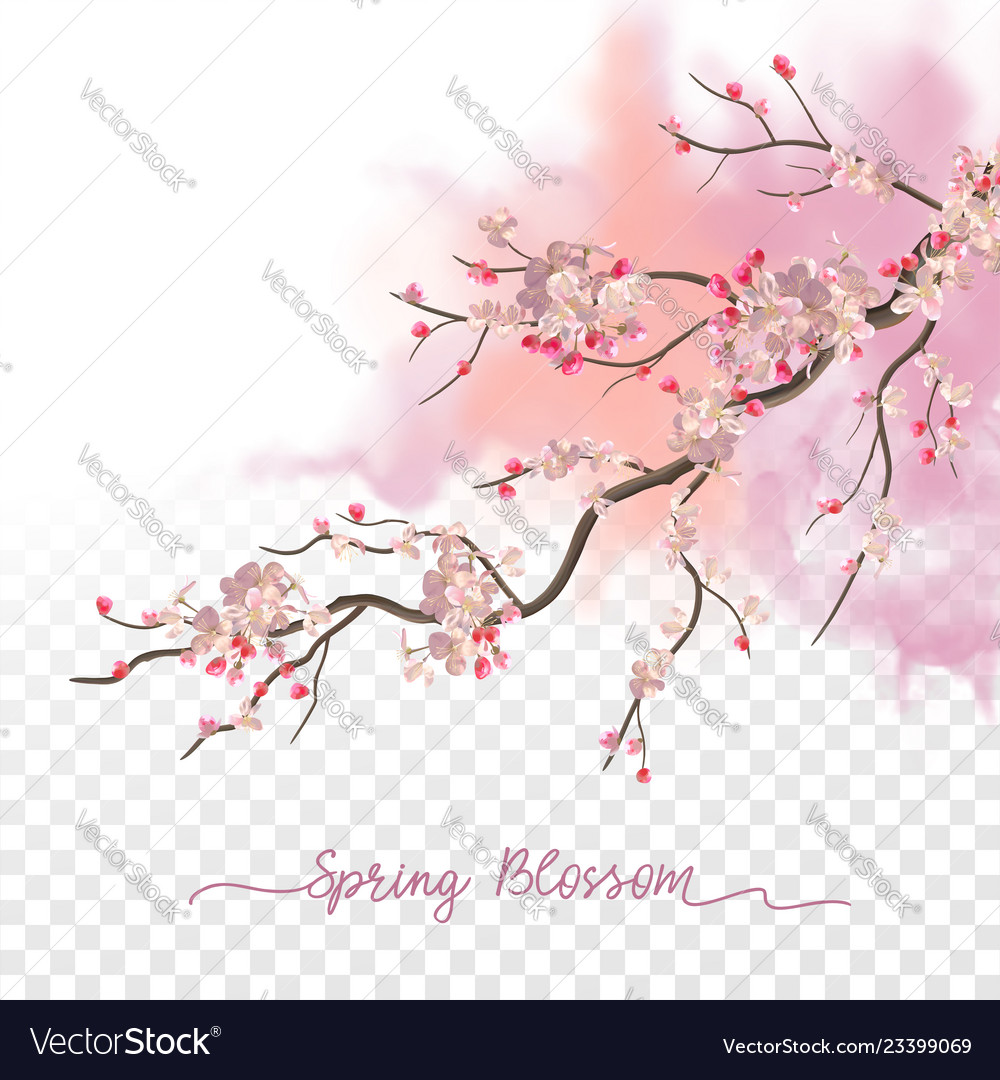 Watercolor spring blossom Royalty Free Vector Image Watercolor spring blossom vector image on VectorStock