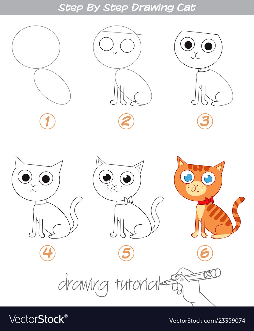 Drawing Tutorial Step By Step Drawing Cat Vector Image