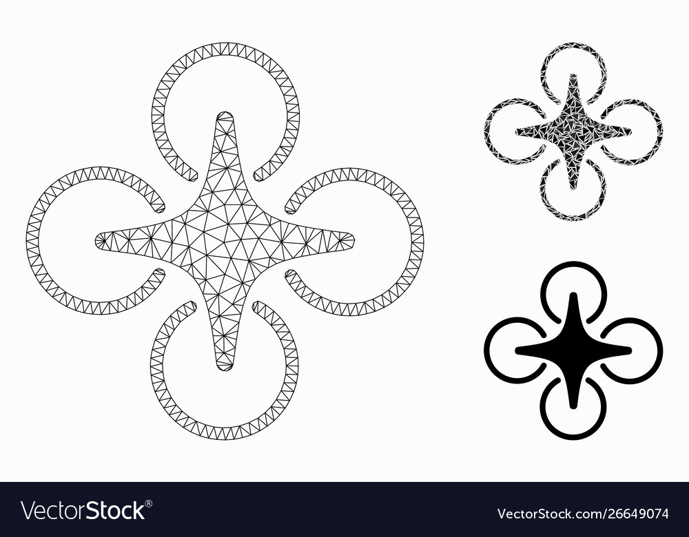Nanocopter mesh 2d model and triangle vector image Nanocopter mesh 2d model and triangle