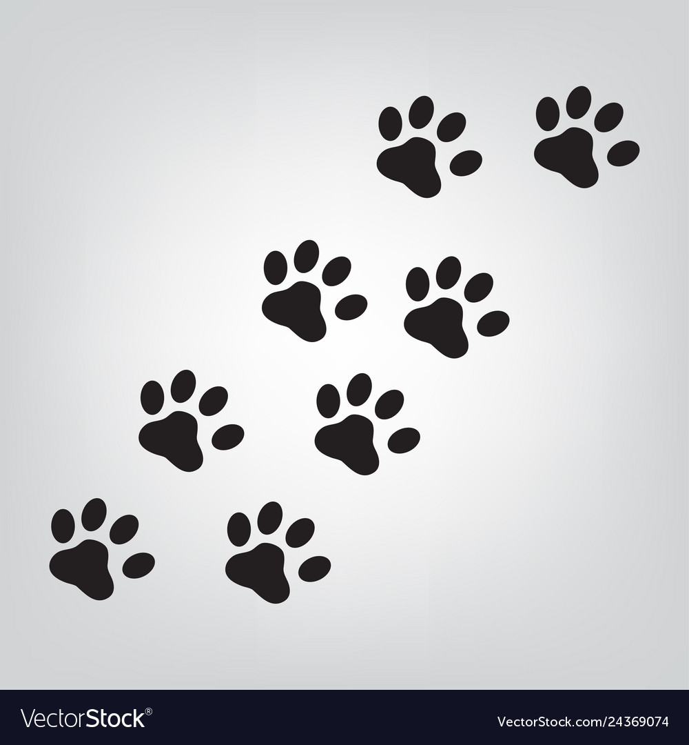 Paw icon
