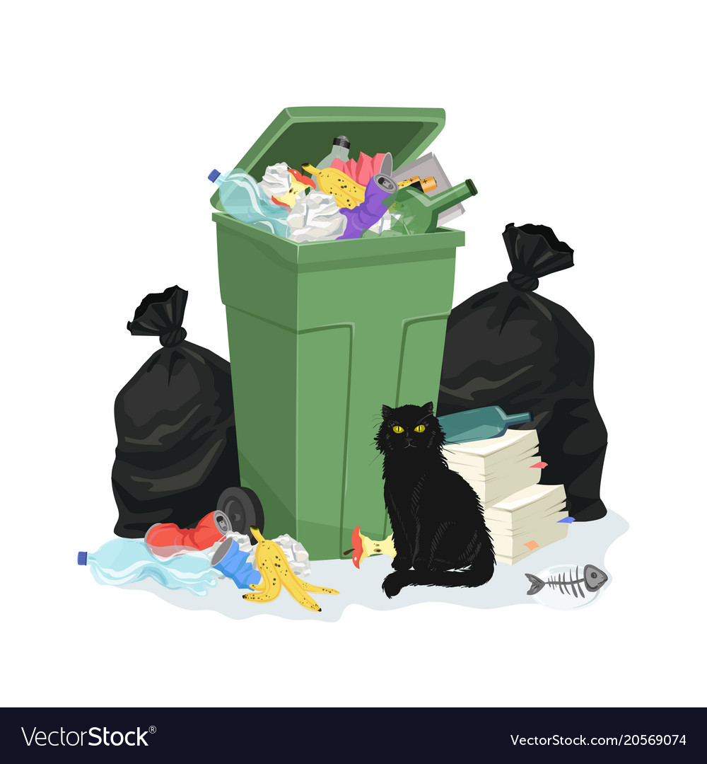 Pile of Garbage and Trash