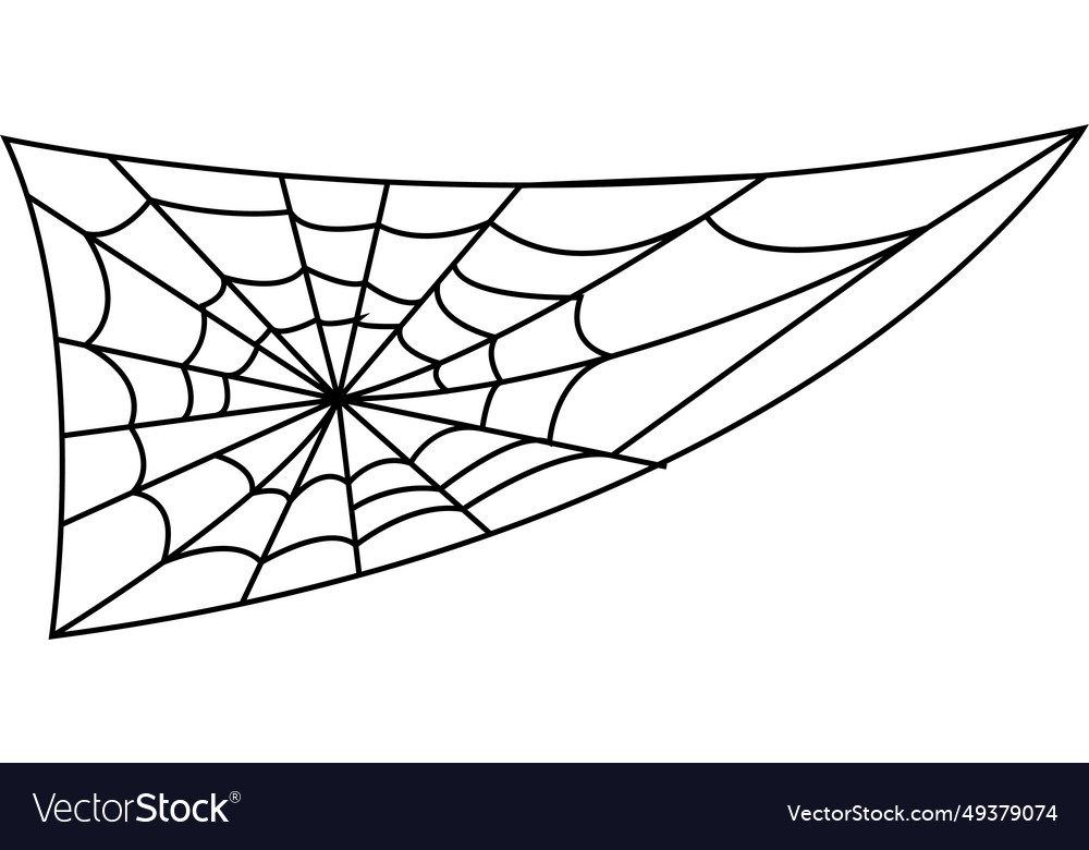 Spider web on transparent background spiderweb vector image Spider web on transparent background spiderweb