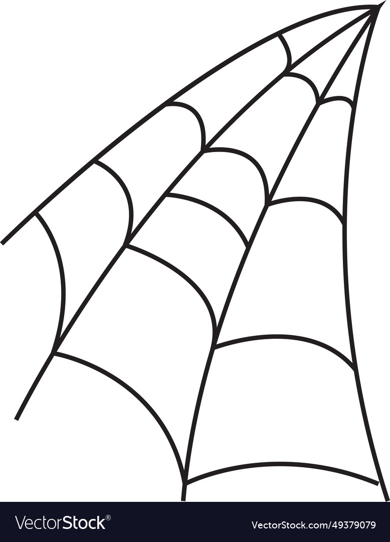 Spider web on transparent background spiderweb