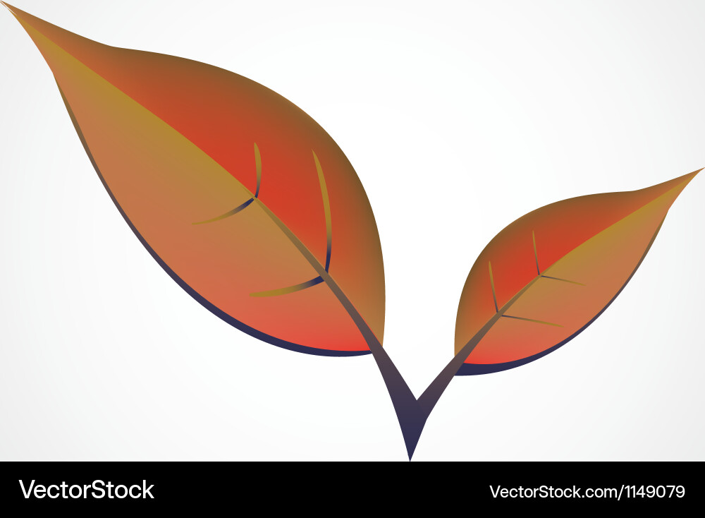 Springleafs Royalty Free Vector Image - VectorStock