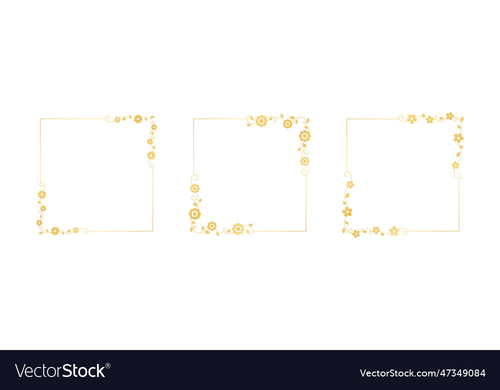 Botanical gold square frame set simple line vector image Botanical gold square frame set simple line