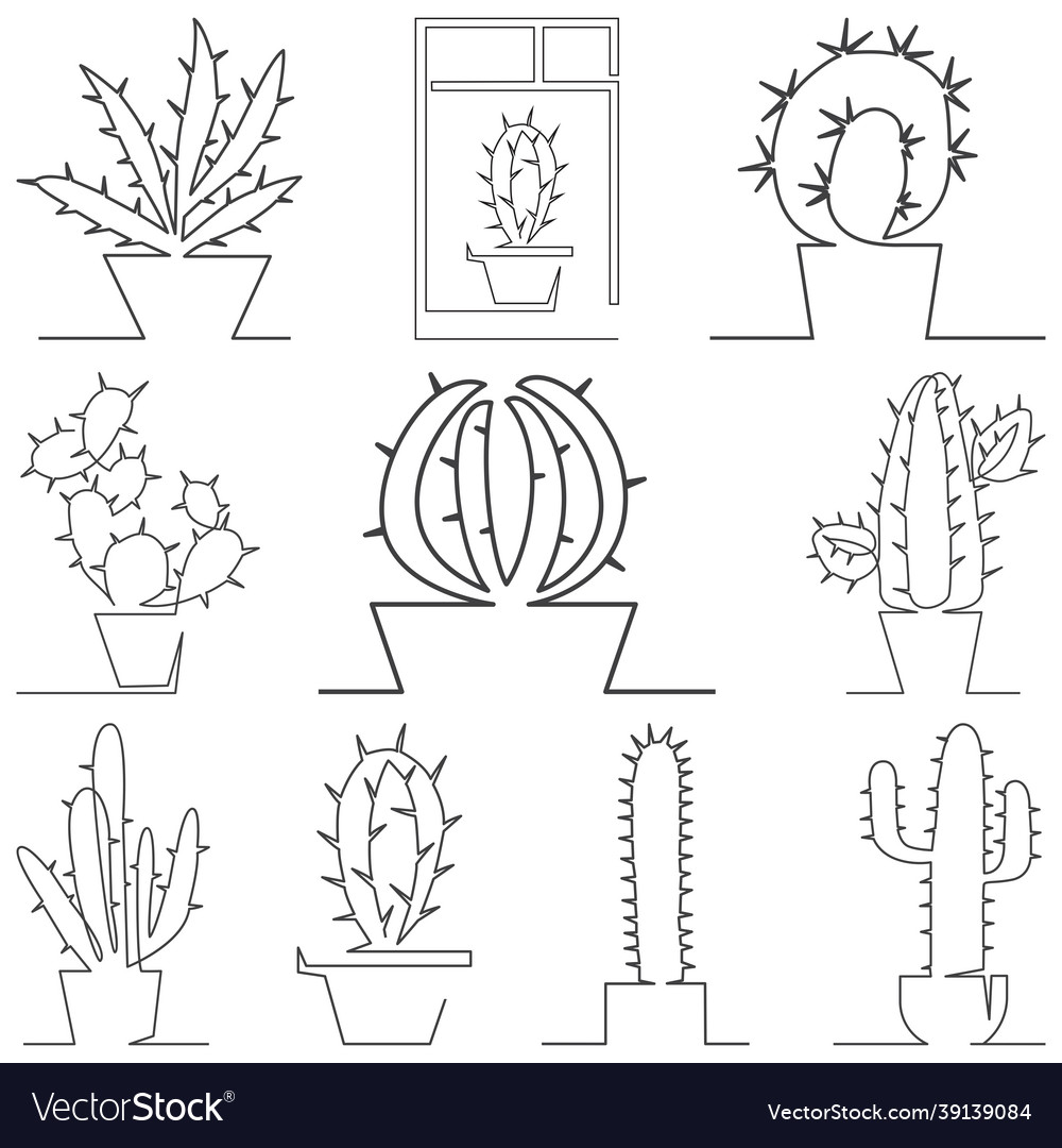 Cactus one line set