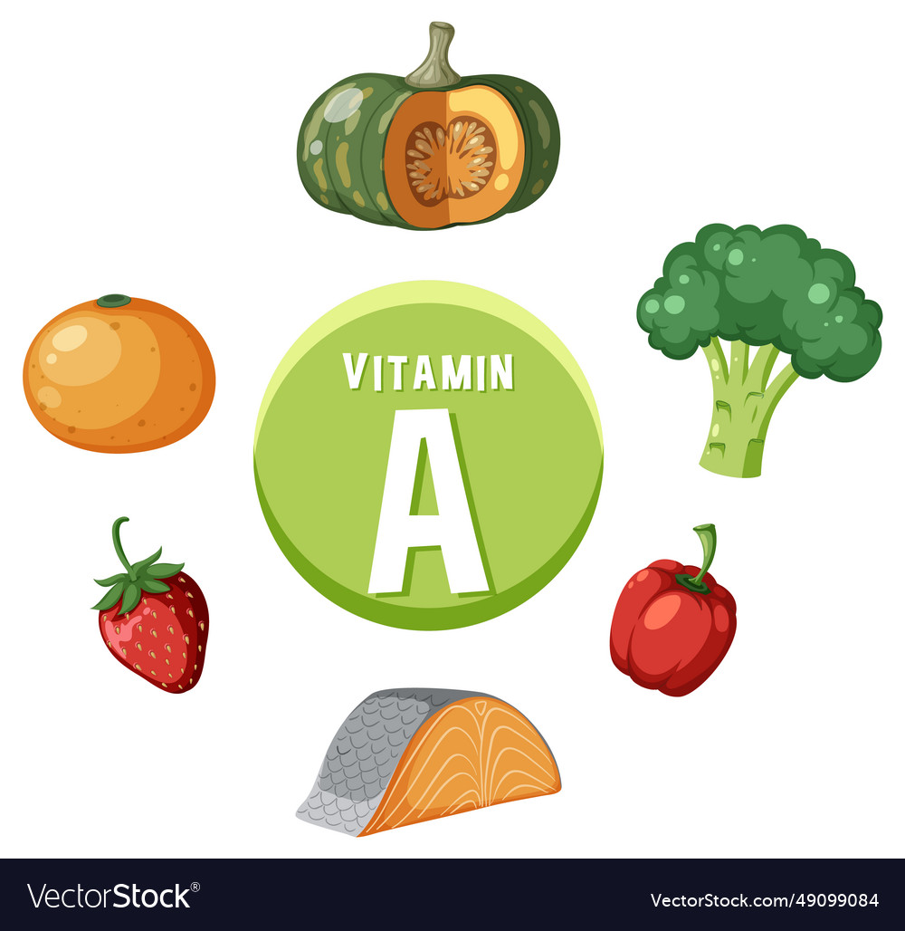 Group Of Vitamin A-rich Foods Royalty Free Vector Image