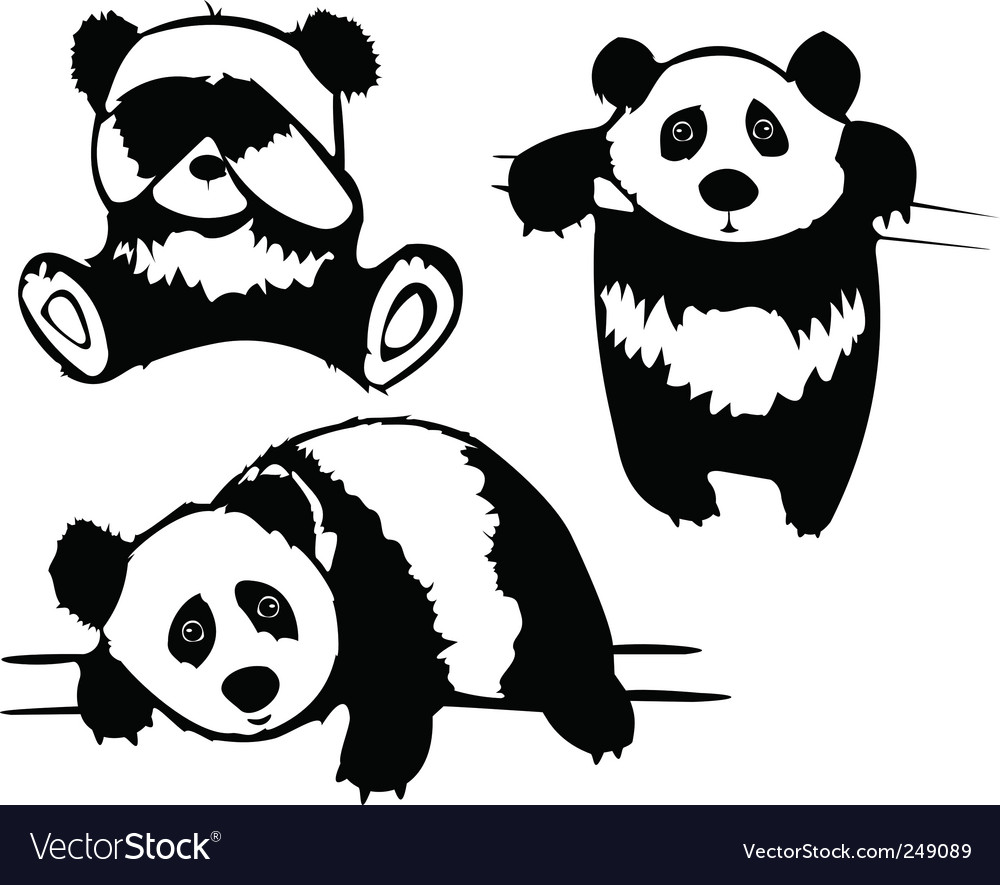 Adorable Panda Cub