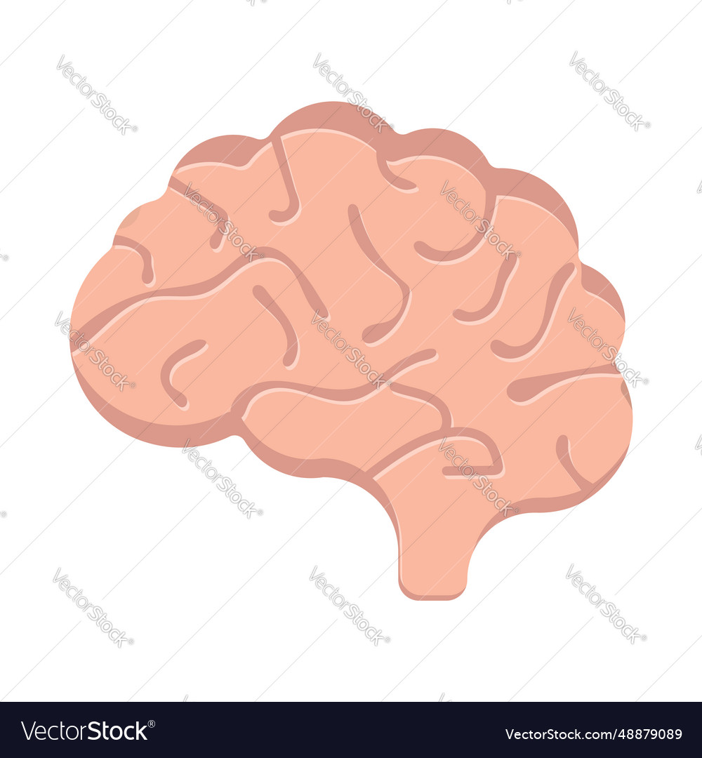 Human brain flat icon cartoon design