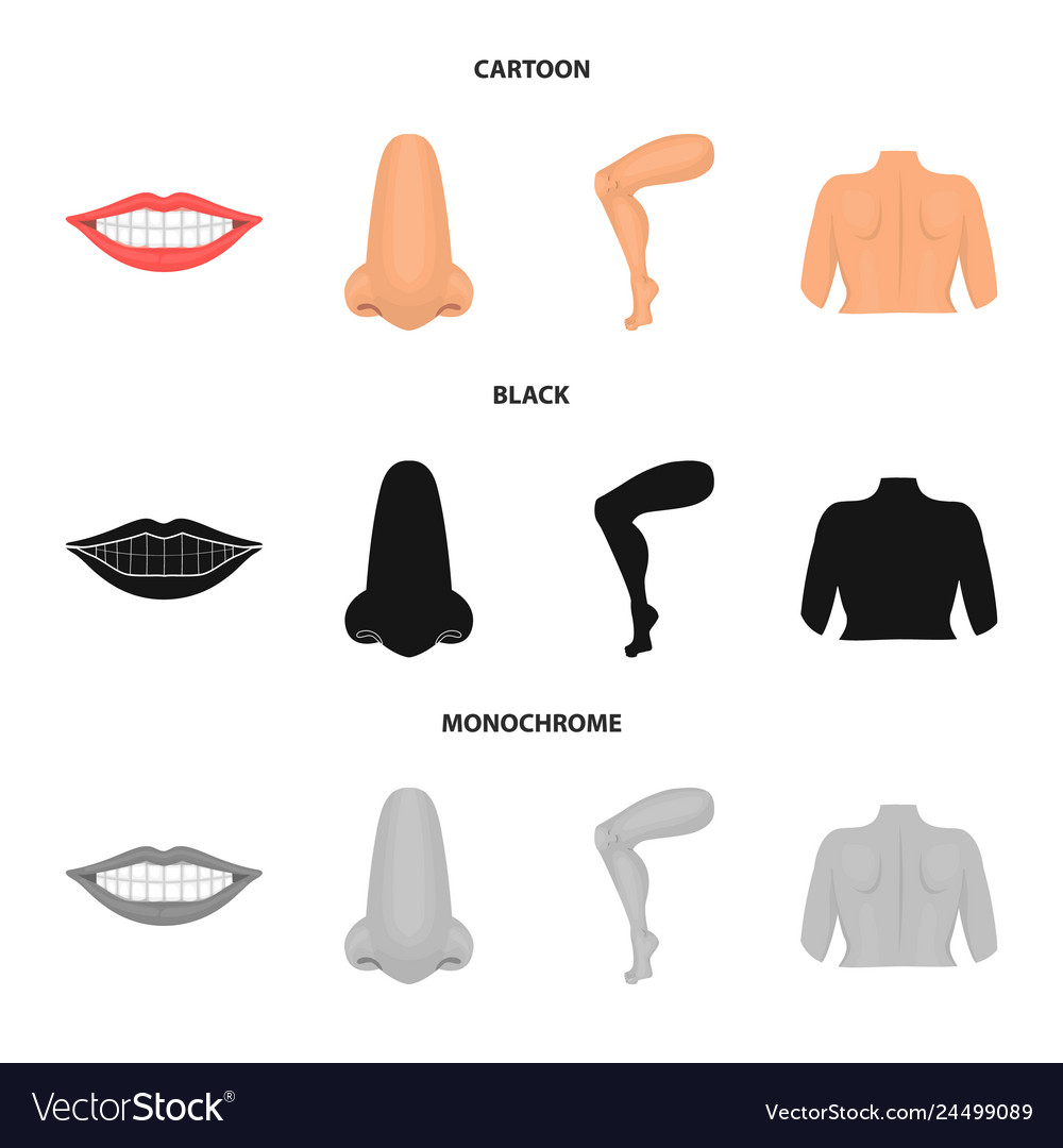 Isolated object of body and part logo set vector image Isolated object of body and part logo set