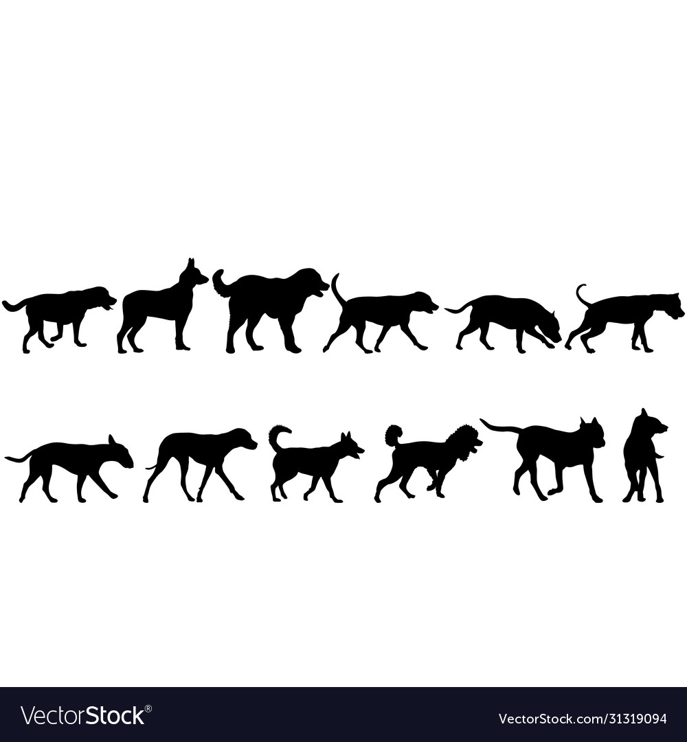 Set Silhouette Hund auf einem weißen Hintergrund vector image Set Silhouette Hund auf einem weißen Hintergrund