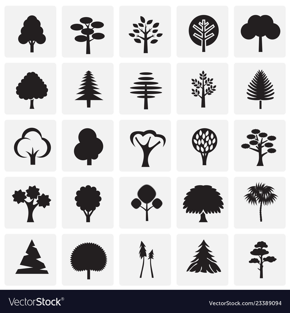 Trees icon set on squares background for graphic