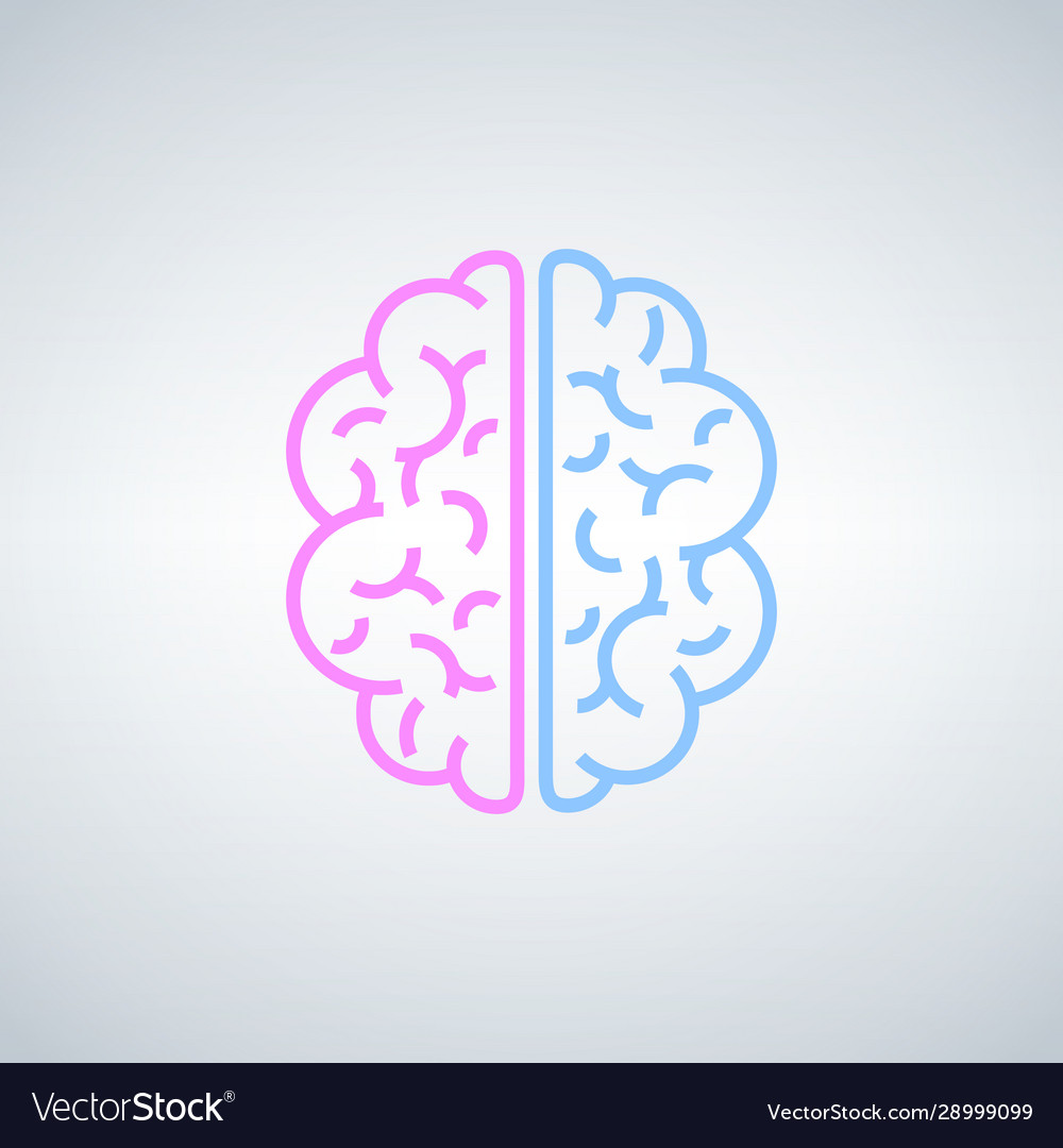 Brain the two halves whole pink vector image Brain the two halves whole pink