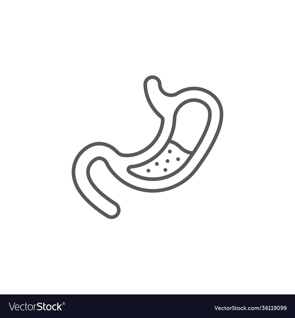 Human stomach and gastrointestinal system icon