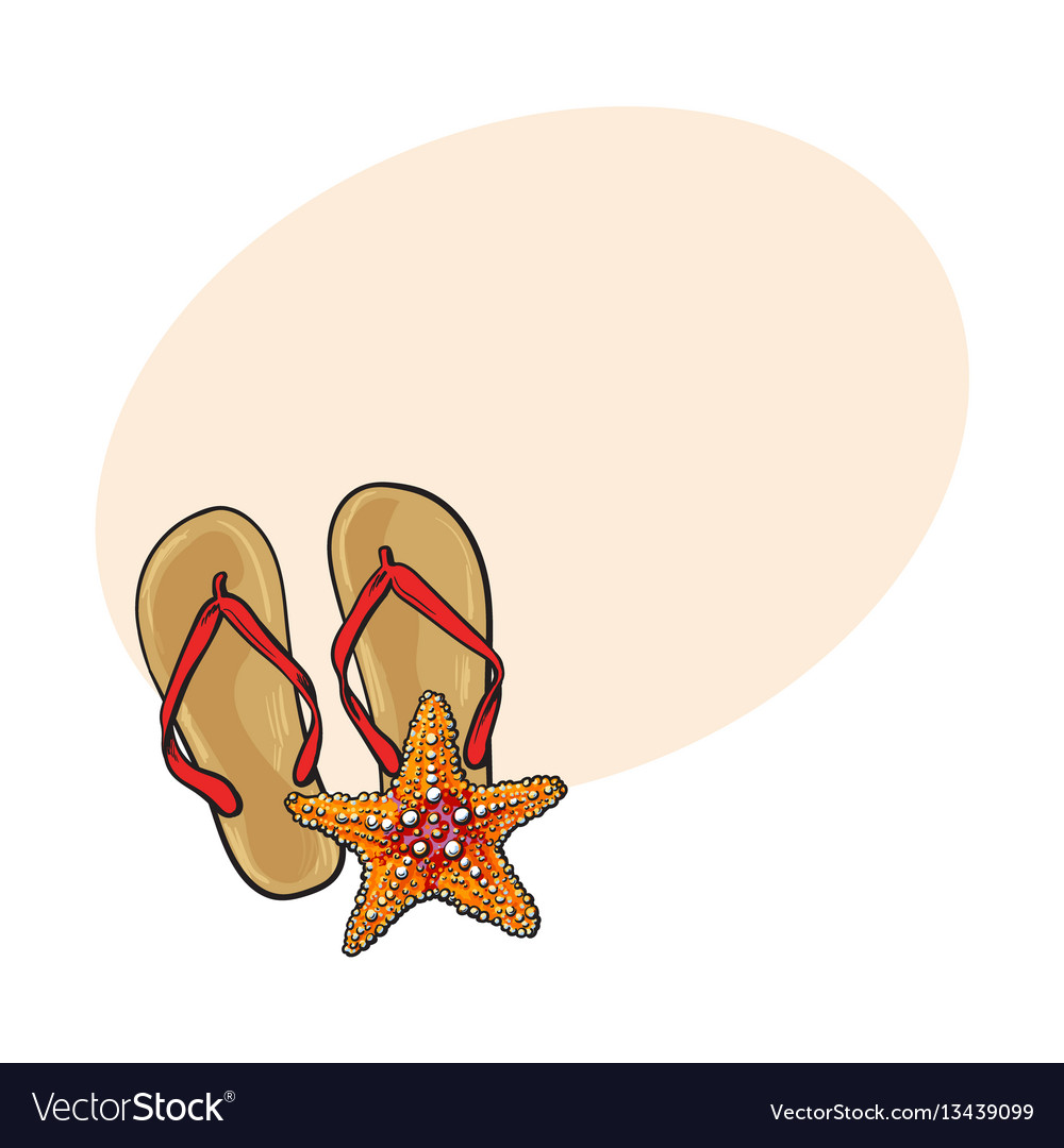 Pair of flip flops and starfish symbols beach