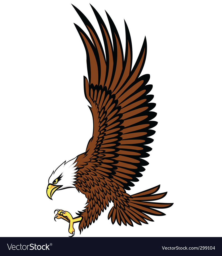 Bald eagle  Royalty Free  Vector  Image VectorStock