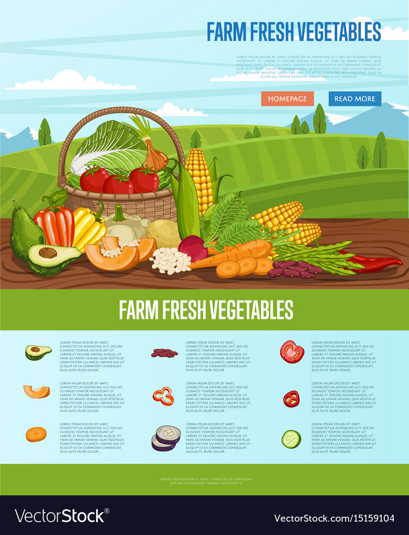 Farm fresh vegetable banner with rural landscape