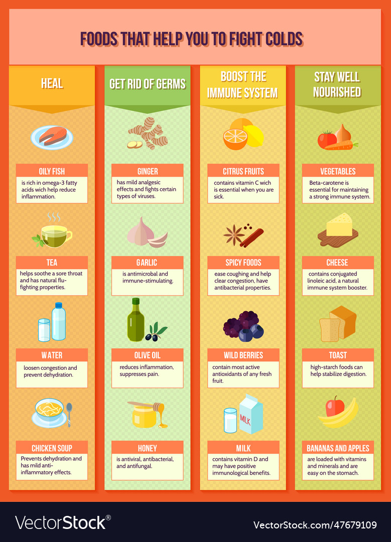 Healthy Food Infographics Royalty Free Vector Image