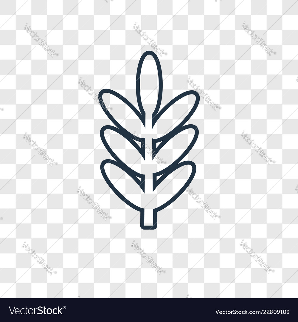 Leaf concept linear icon isolated on transparent