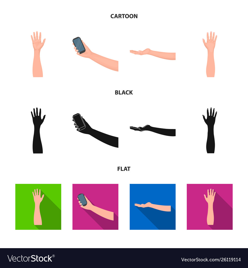 Design and animated icon collection