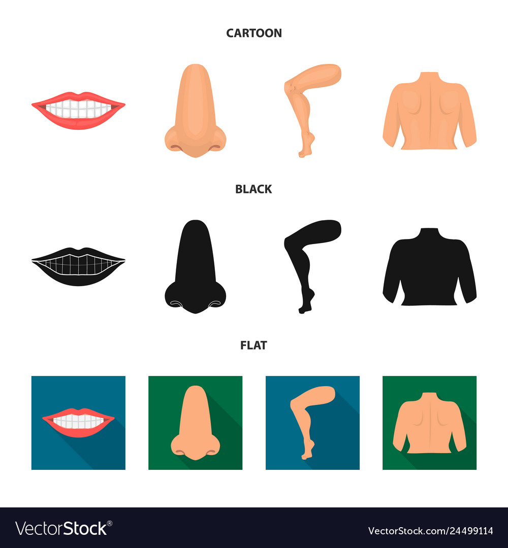 Isolated object of body and part sign set vector image Isolated object of body and part sign set