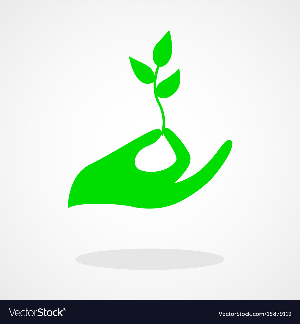 Icon of a hand holding young plant