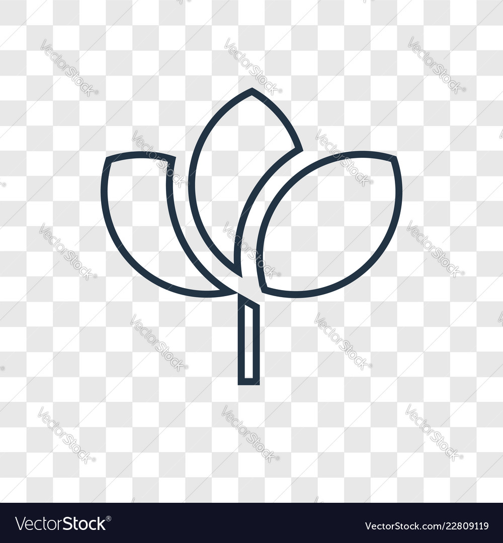Leaf concept linear icon isolated on transparent vector image Leaf concept linear icon isolated on transparent