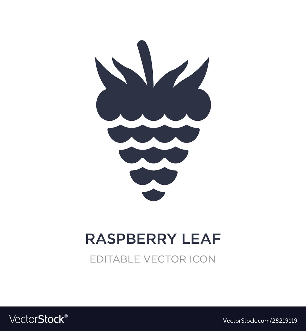 Raspberry leaf icon on white background simple
