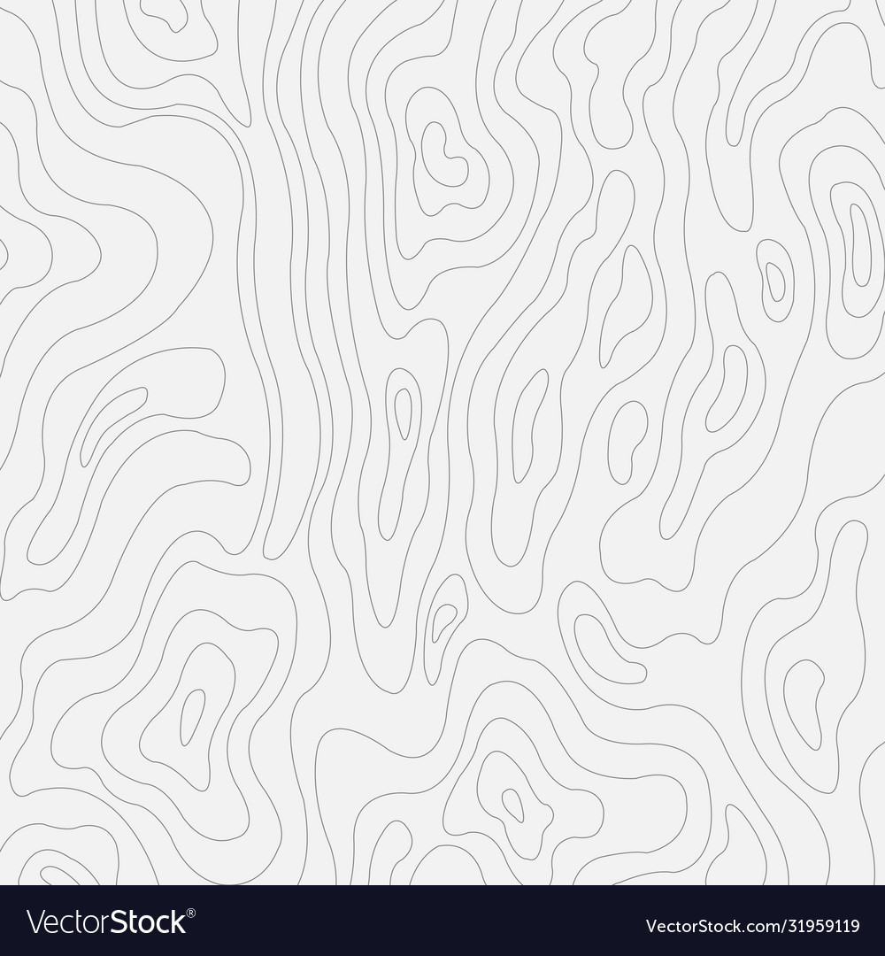 Topographic contour in lines and contours Vector Image