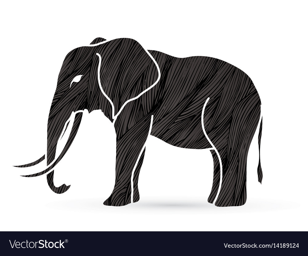 elephant side profile