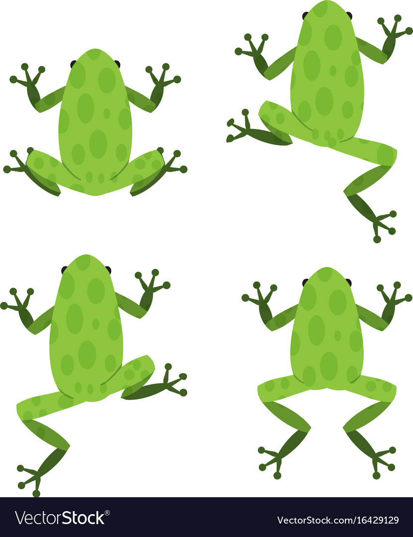 Green Frog Set - Flat Style