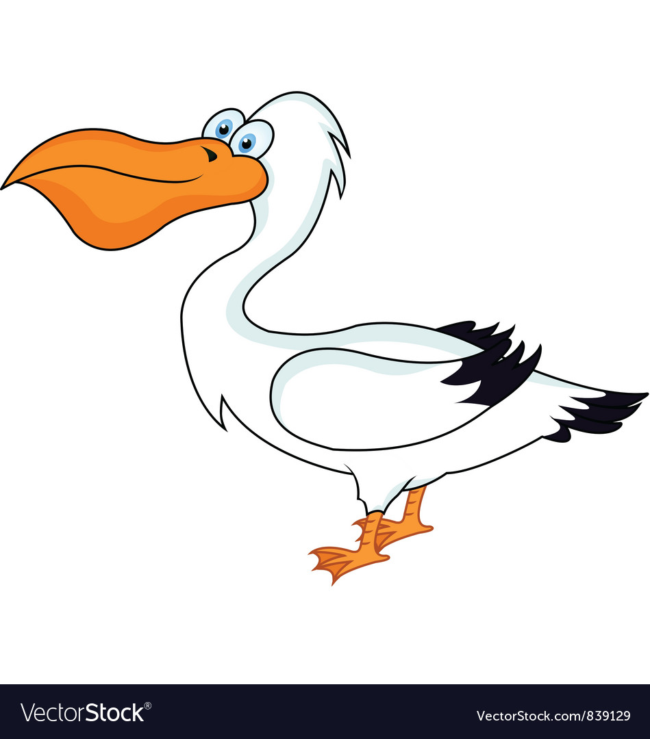 Pelican Bird Royalty Free Vector Image - Vectorstock