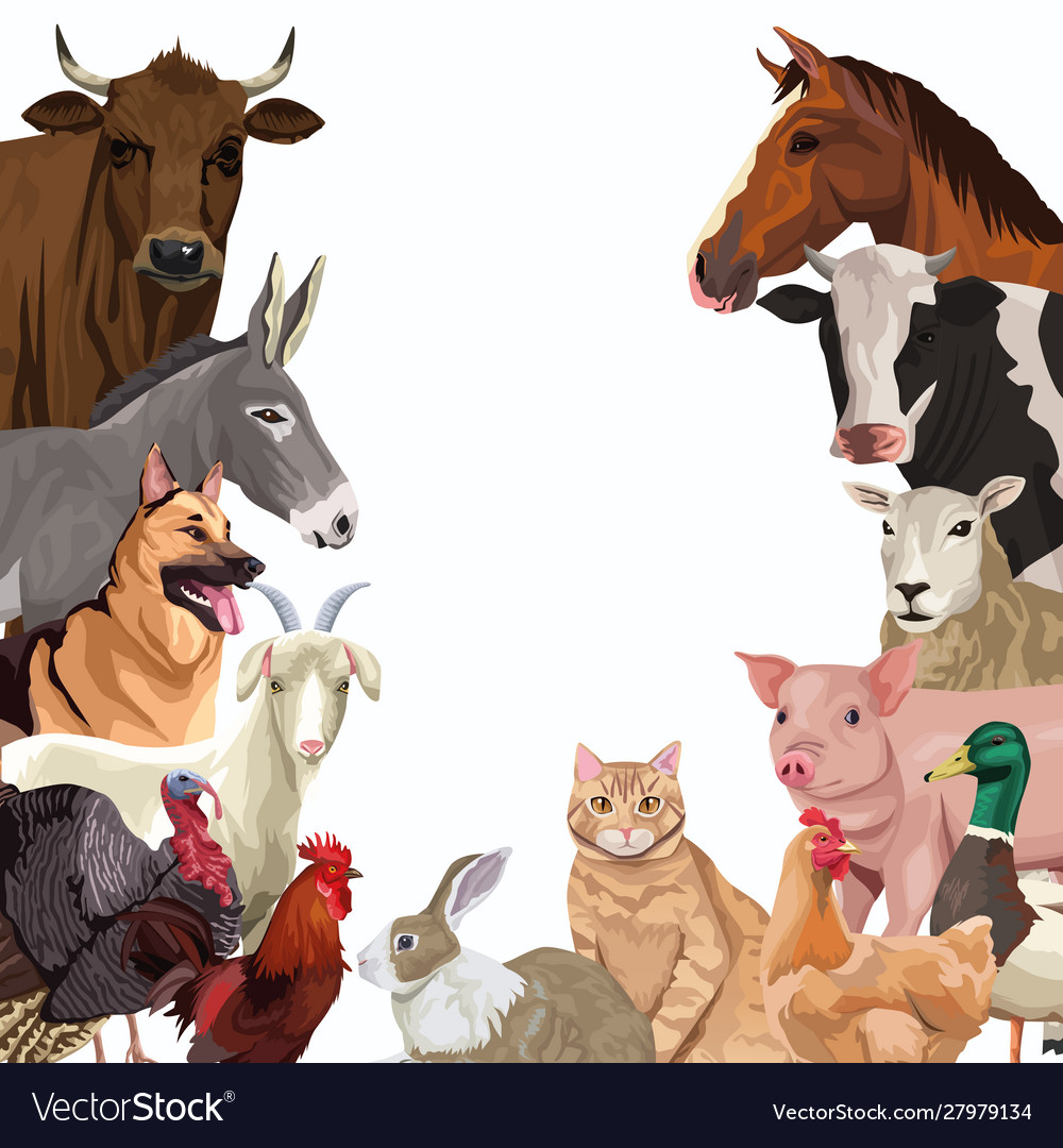 Group animals farm characters