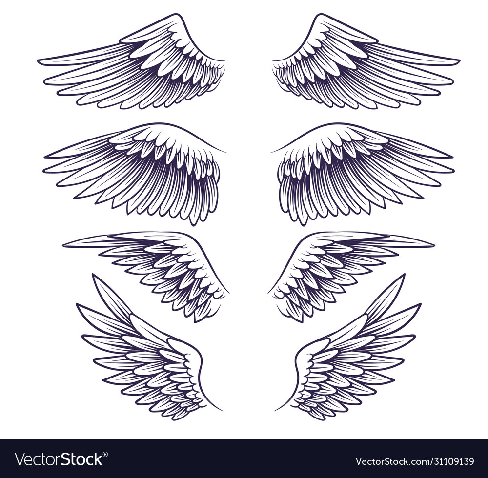 Hand Drawn Wing Sketch Angel Wings Royalty Free Vector Image   Hand Drawn Wing Sketch Angel Wings Vector 31109139 