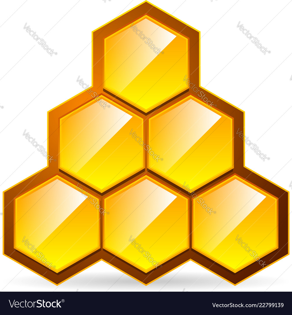 Honeycomb honey cell icon isolated organic