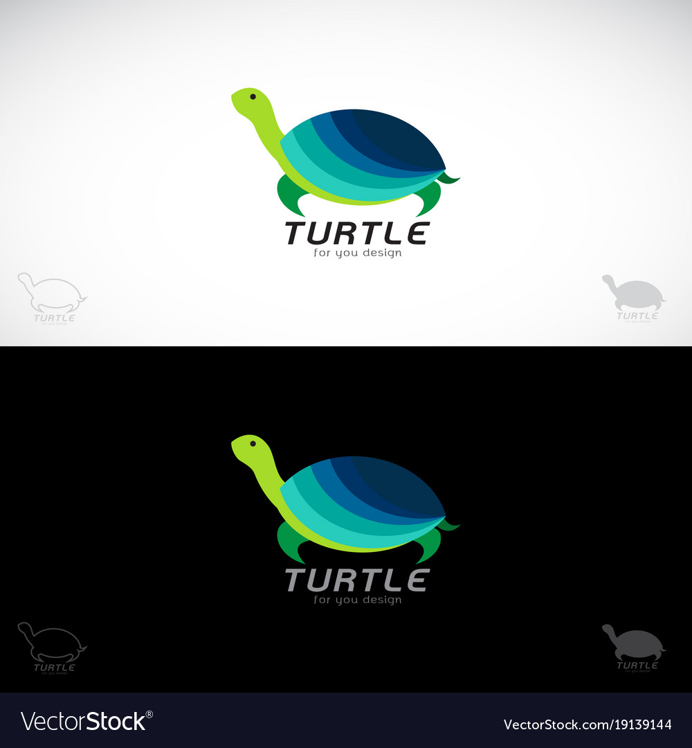 Turtle design on white background and black Vector Image