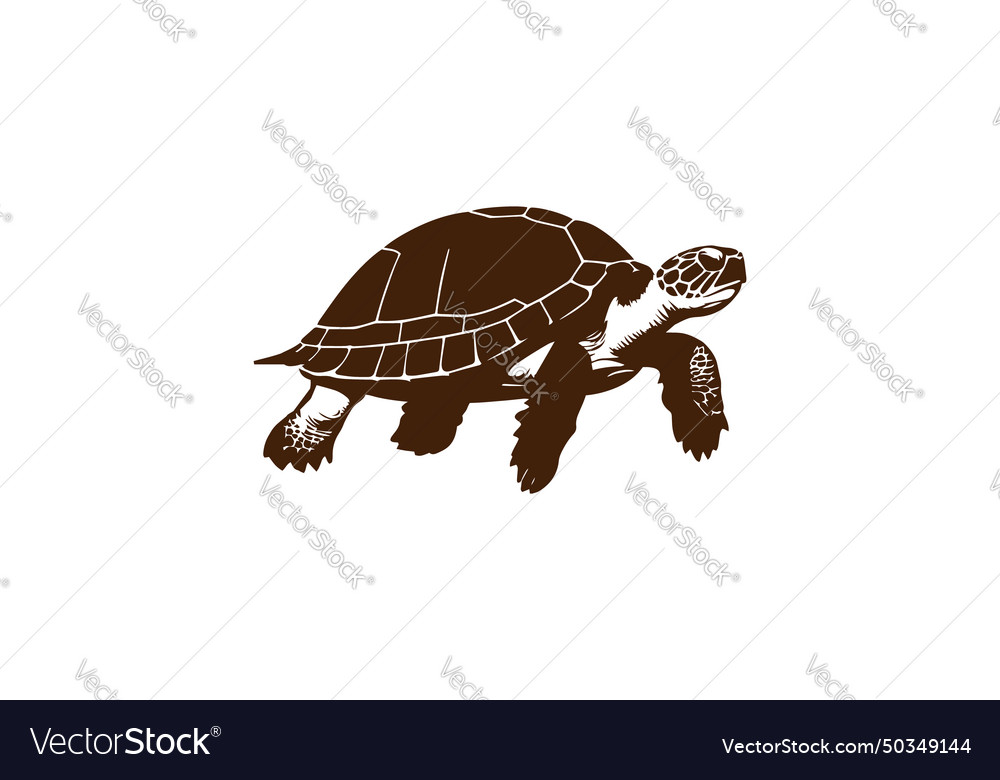 Turtle logo icon premium silhouette design brown Vector Image