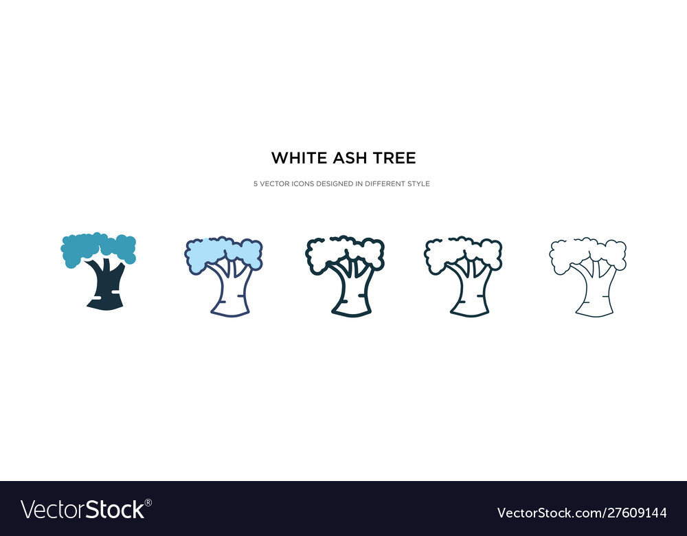Weiße Asche Baum-Symbol in verschiedenen Stil zwei