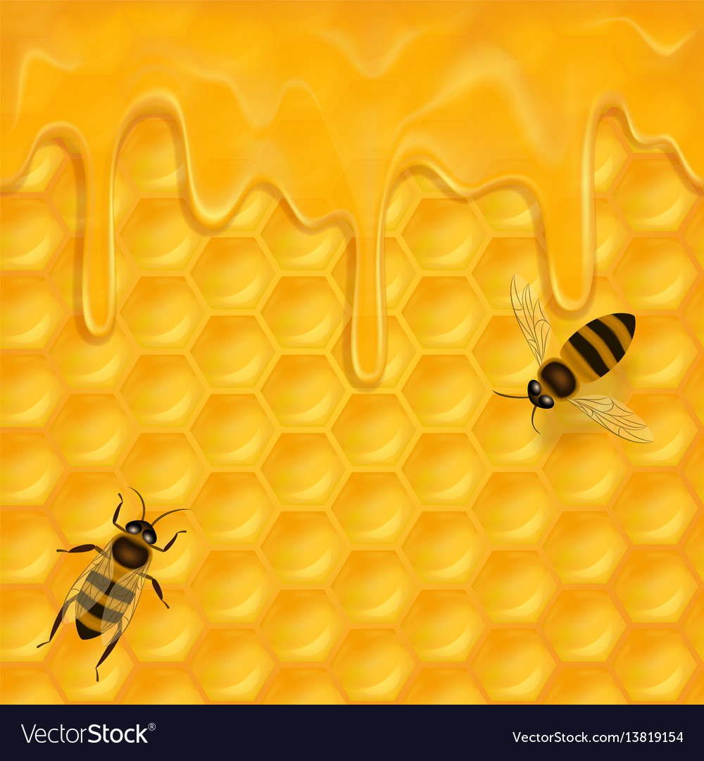 Horizontal seamless pattern with honeycomb vector image Horizontal seamless pattern with honeycomb