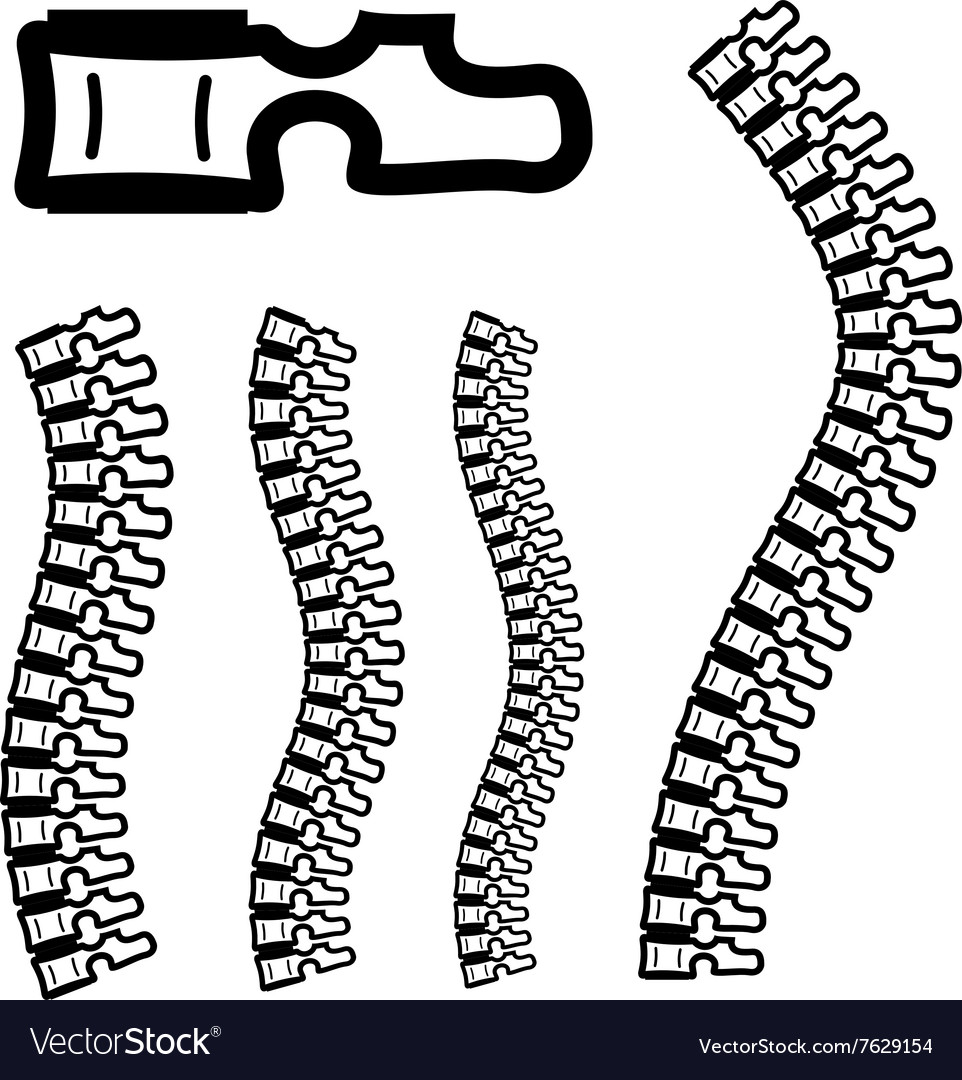 Human spine silhouettes - vertebra brush Vector Image Human spine silhouettes - vertebra brush Vector Image