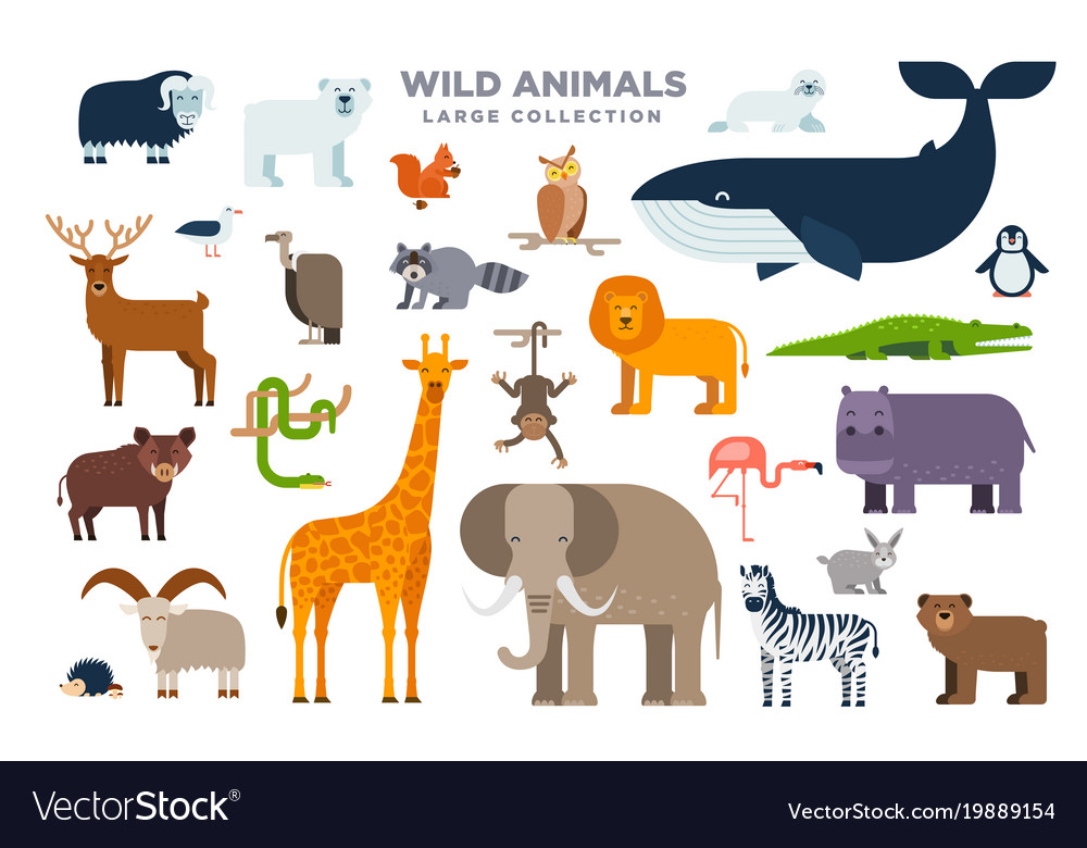 Large set of wild animals in flat design