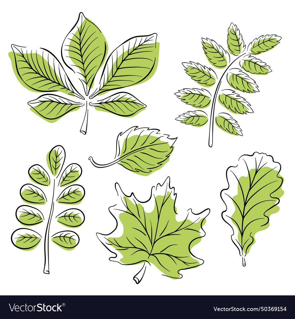 Leaf set in line art style minimalist simple